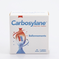 CARBOSYLANE 48 doses (Charbon activé,Siméticone)