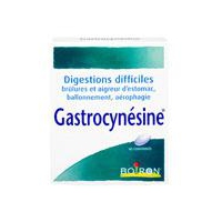 BOIRON Gastrocynésine Digestion difficiles 60 comprimés