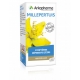 Arkogélules Millepertuis 45 gélules